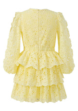 Skyla Sleeve Embroidered Mini Dress