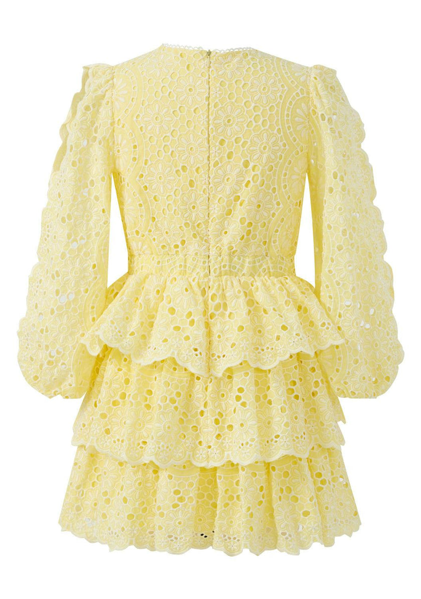 Skyla Sleeve Embroidered Mini Dress
