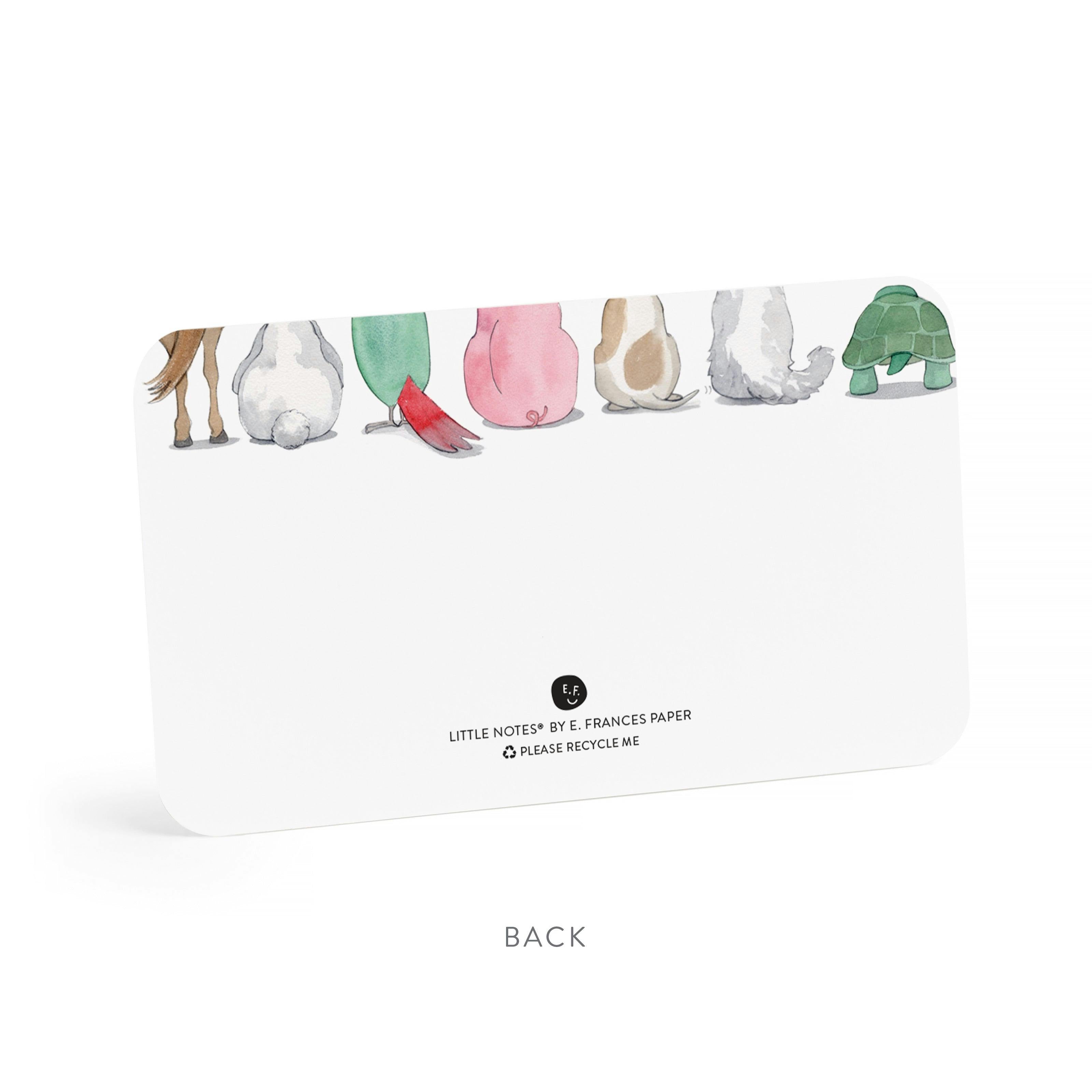 Set of 55 Little Notes