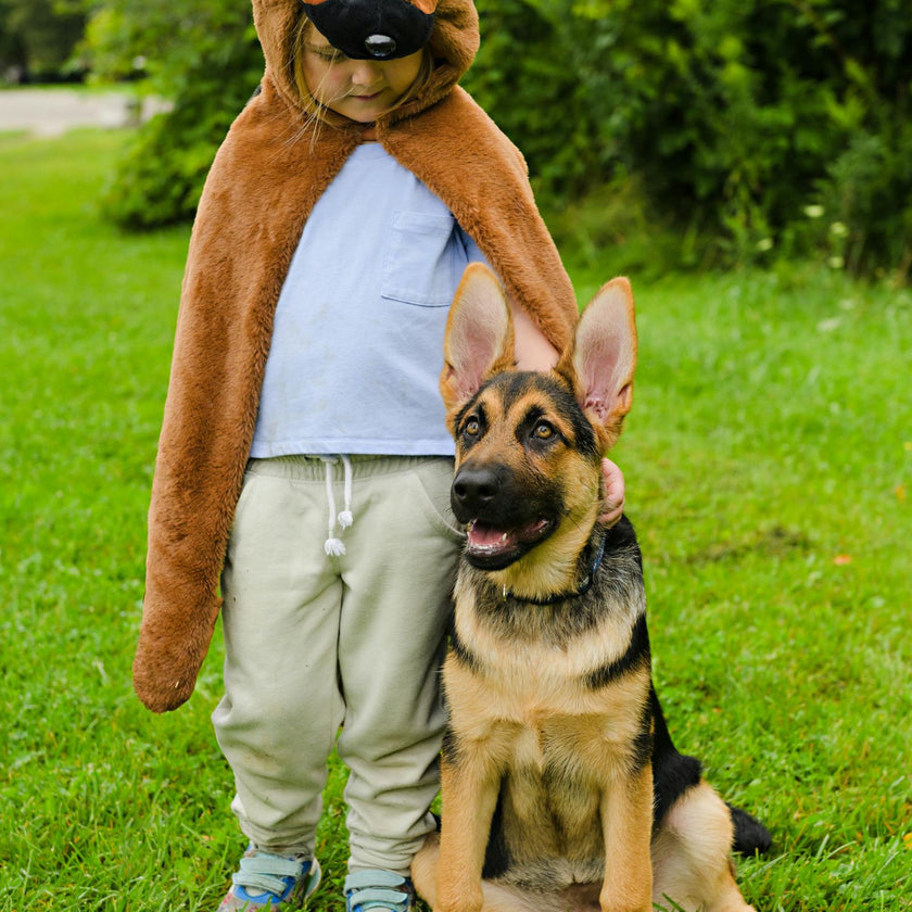 German Shepherd Dog Cuddle Cape