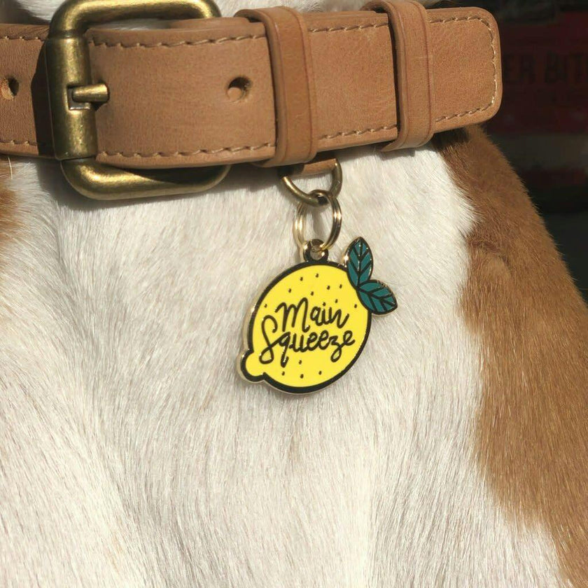 Main Squeeze Pet ID Tag