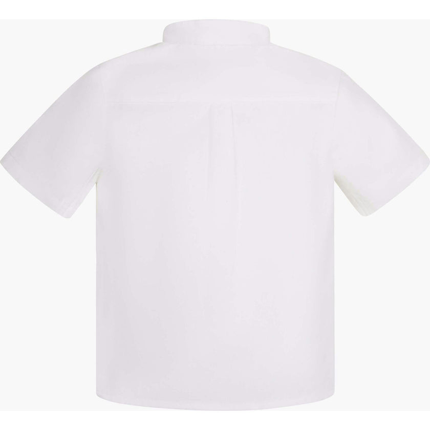 Louis Shirt