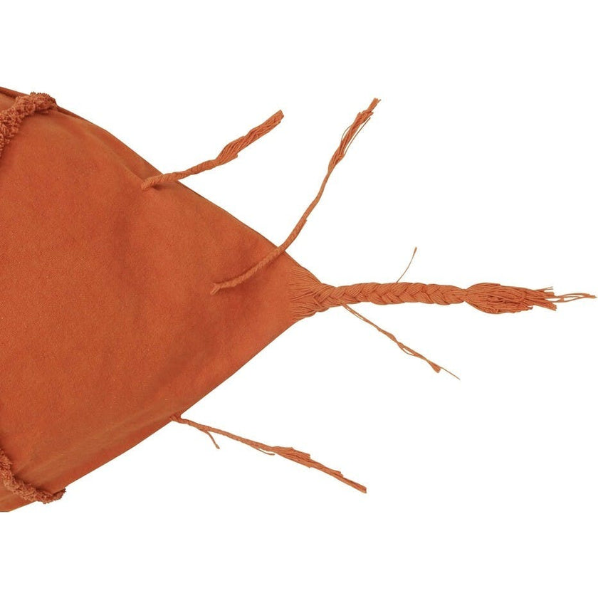 Bean Bag Cathy The Carrot