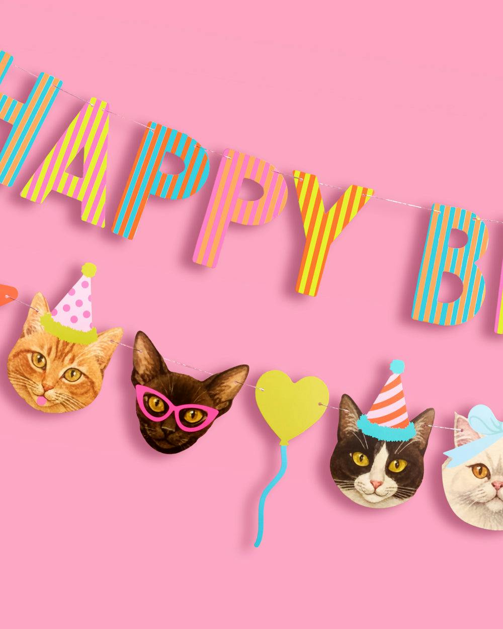 Crazy Cat Banner - really fun party banner