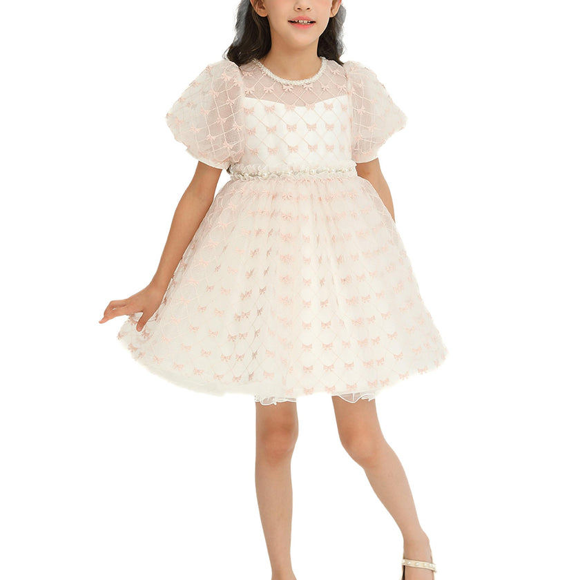 Ivory Pink Accented Tulle Fontana Dress