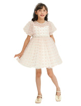Ivory Pink Accented Tulle Fontana Dress