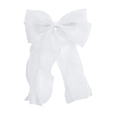Sheer Organza Beaded-Edge Hair Clip