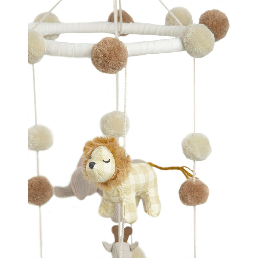 Celing Hanging