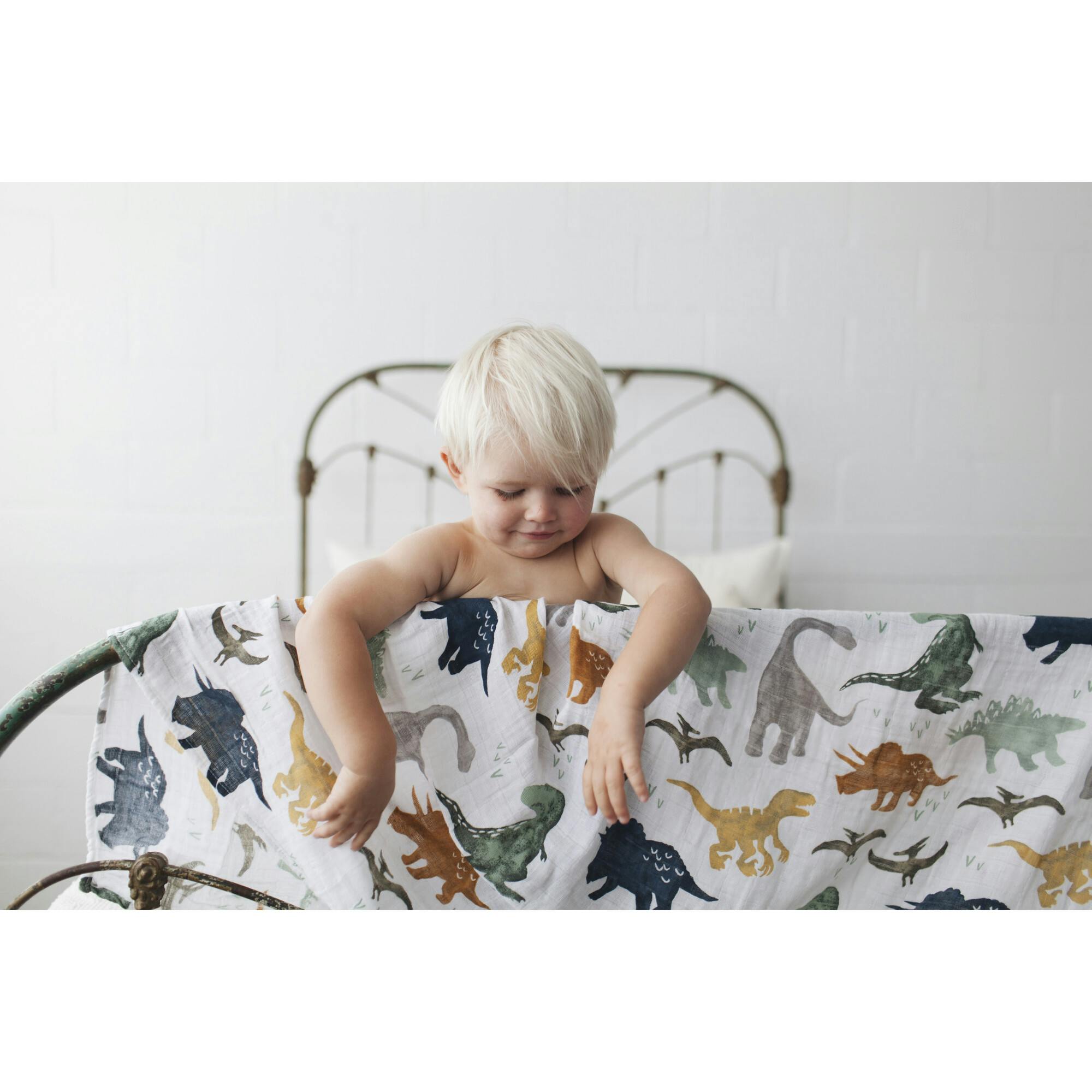 Cotton Muslin Swaddle Blanket - Dino Friends