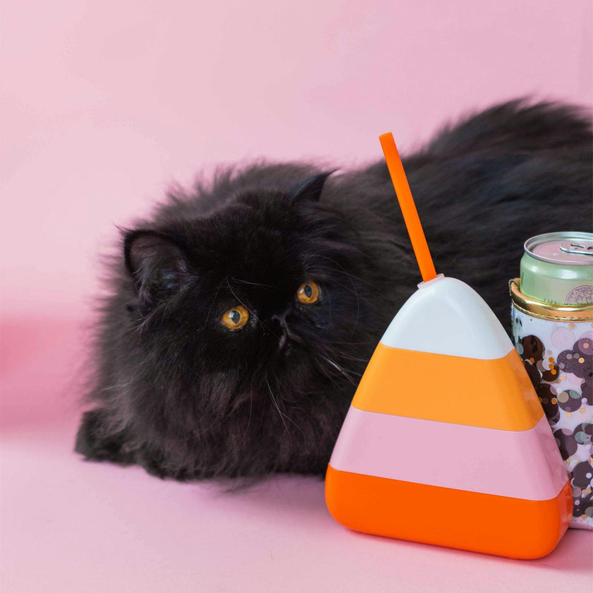 Packed Party Candy Corn 2-Pack 14 Oz Sippers