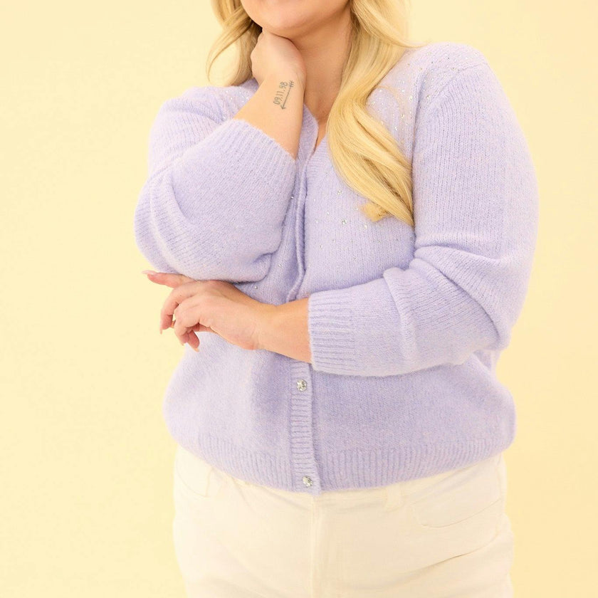 Remy Sweater in Lavendar
