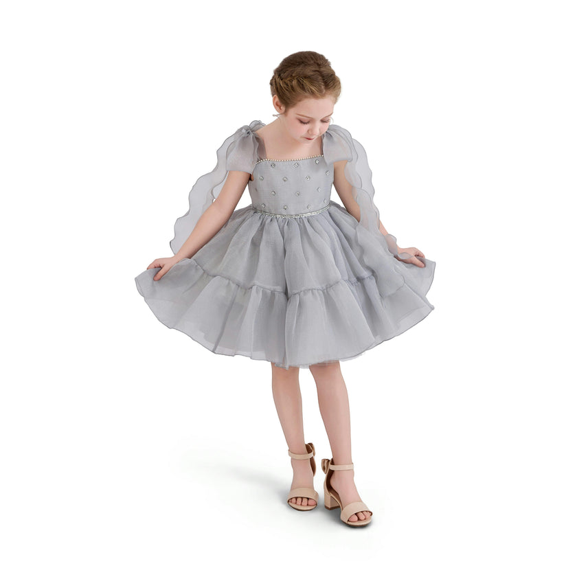 Light Aureline Gray Ruffled Party Dress