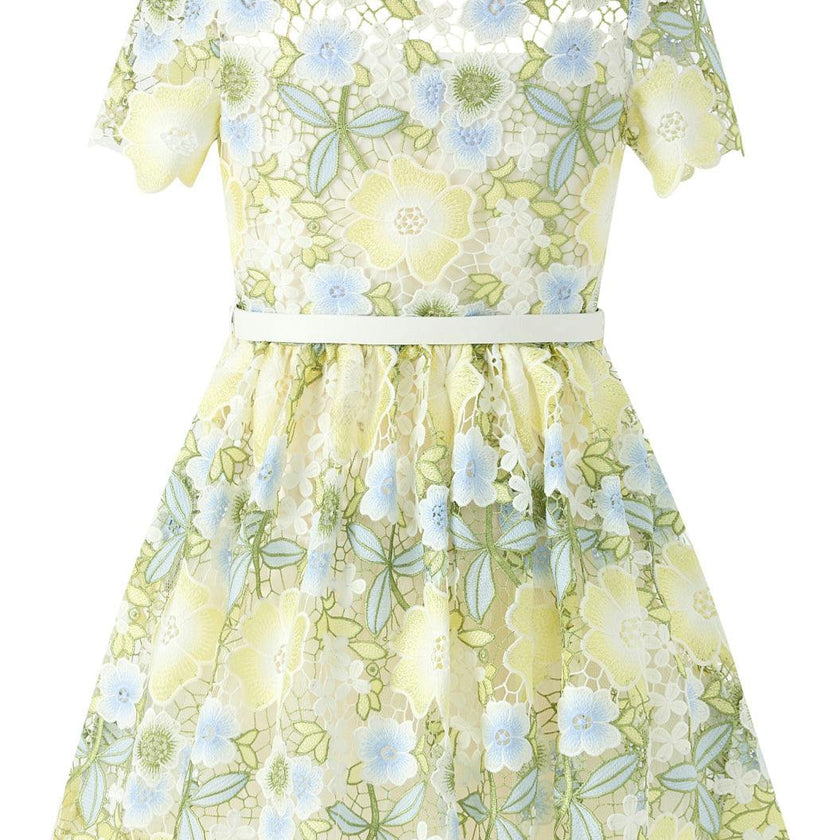 Vienna Embroidered Mini Dress