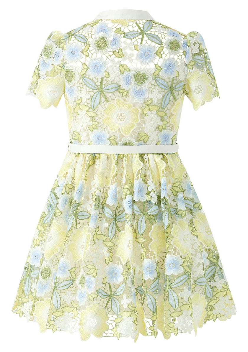Vienna Embroidered Mini Dress