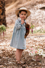 Clementine Dress in Denim Darling