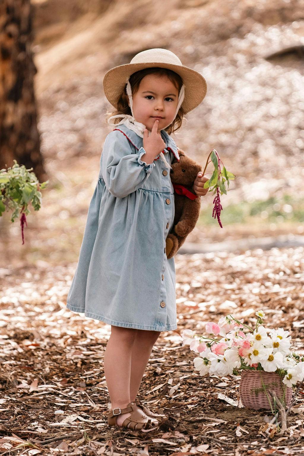 Clementine Dress in Denim Darling