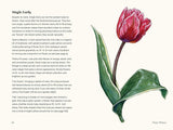 Little Book of Tulips