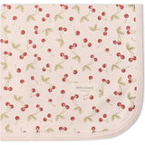 Organic Swaddle Blanket & Hat Set