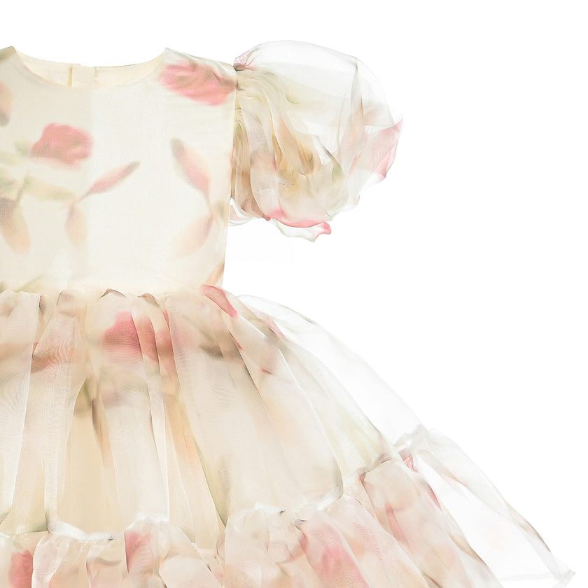 Cream Elanora Floral Organza Dress