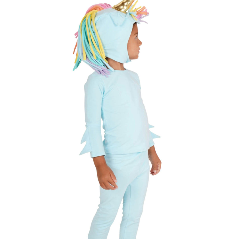 Rainbow Sky Unicorn