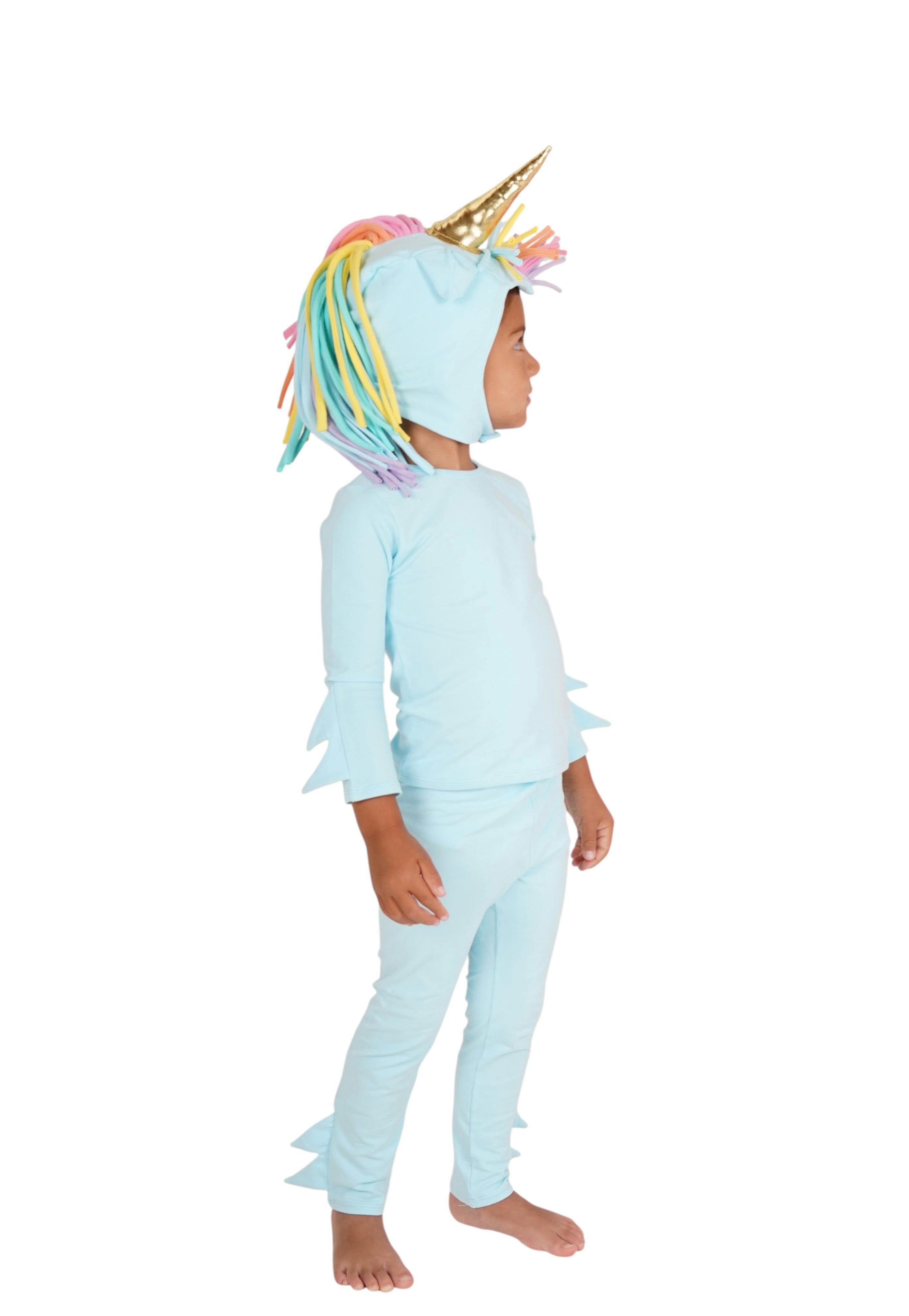Rainbow Sky Unicorn