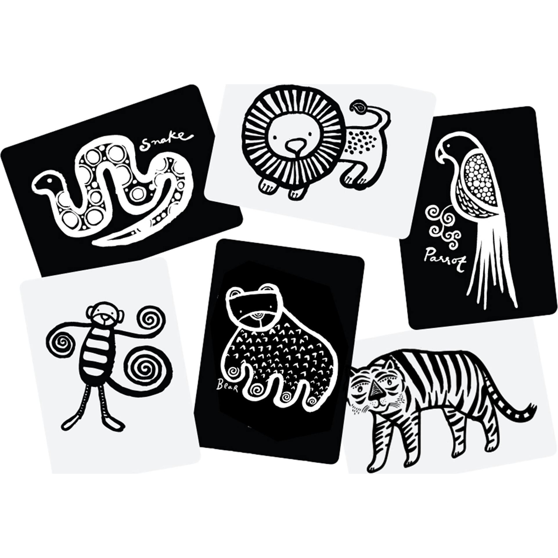 Jungle Art Cards for Baby