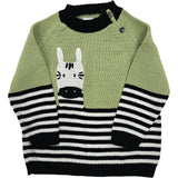 Zebra Sweater