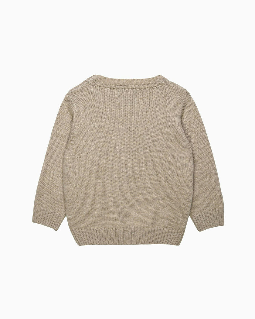 Baby Dippy & Pterodactyl Sweater
