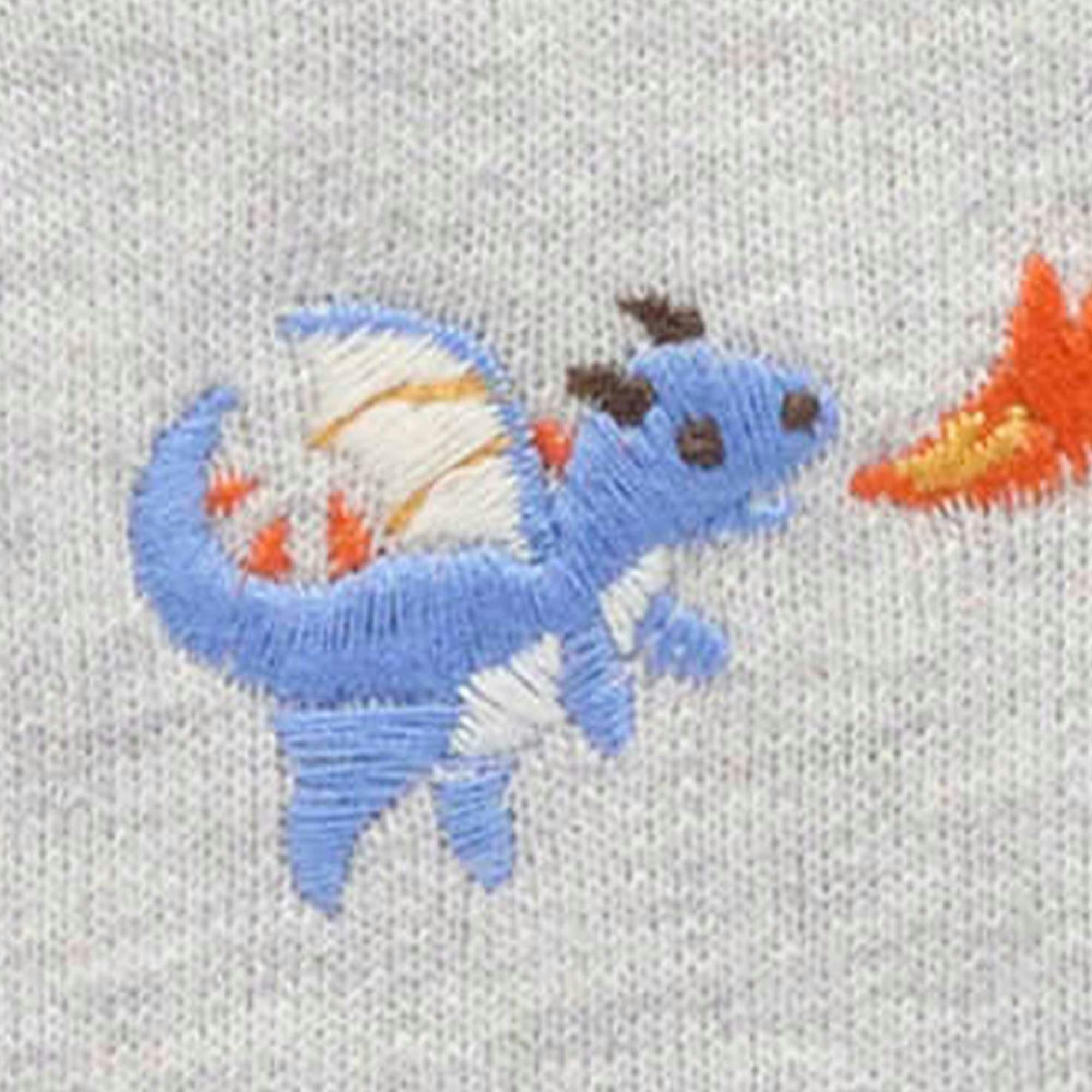 Embroidered Windcheater Flying Dragon Broderie