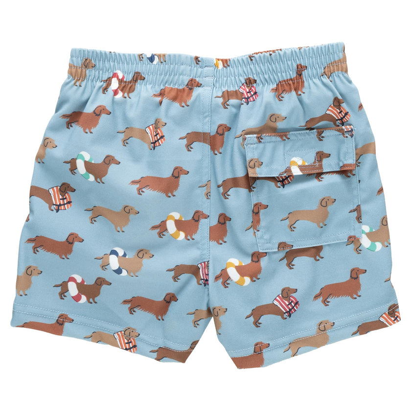 Baby Boys Swim Trunk - Swim Dachshunds