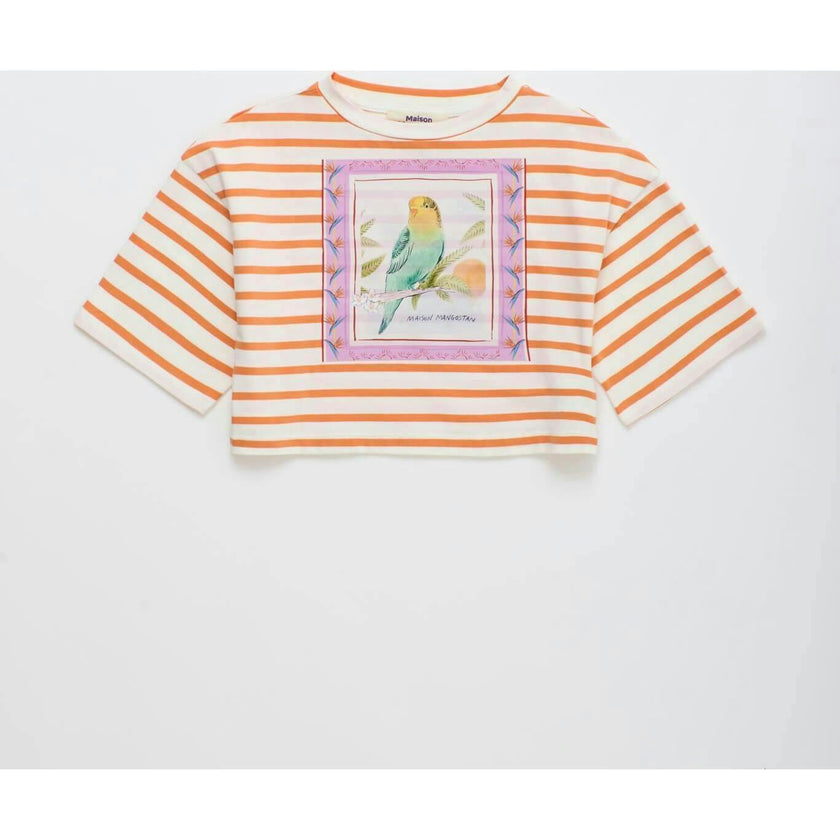 BIRDS STRIPED CROP TOP MANDARIN /WHITE