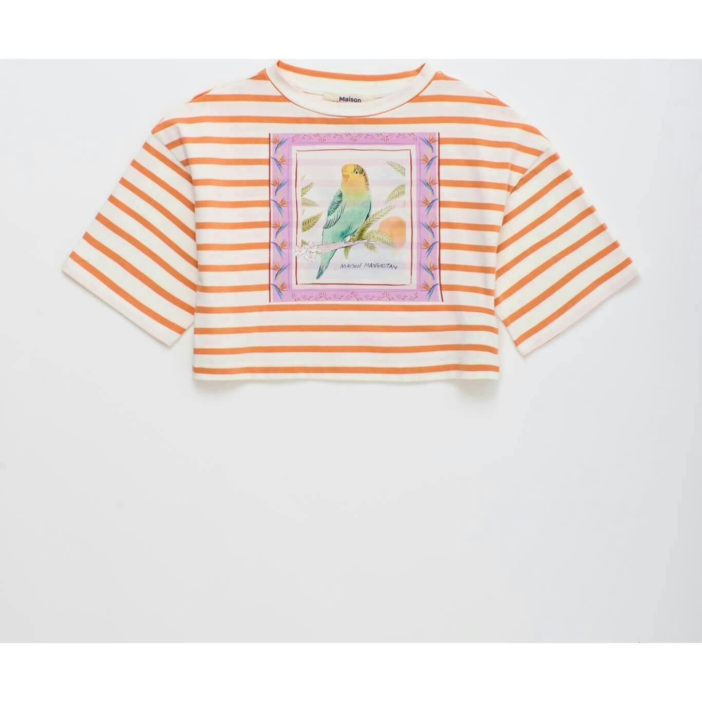 BIRDS STRIPED CROP TOP MANDARIN /WHITE