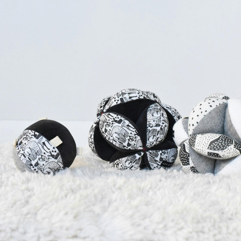 Taggy Ball with Rattle
