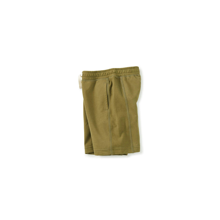 Cool Side Sport Shorts, Lizard