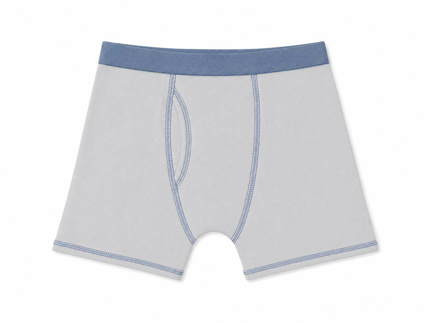 Boys Boxer Brief Blue 3pc Set