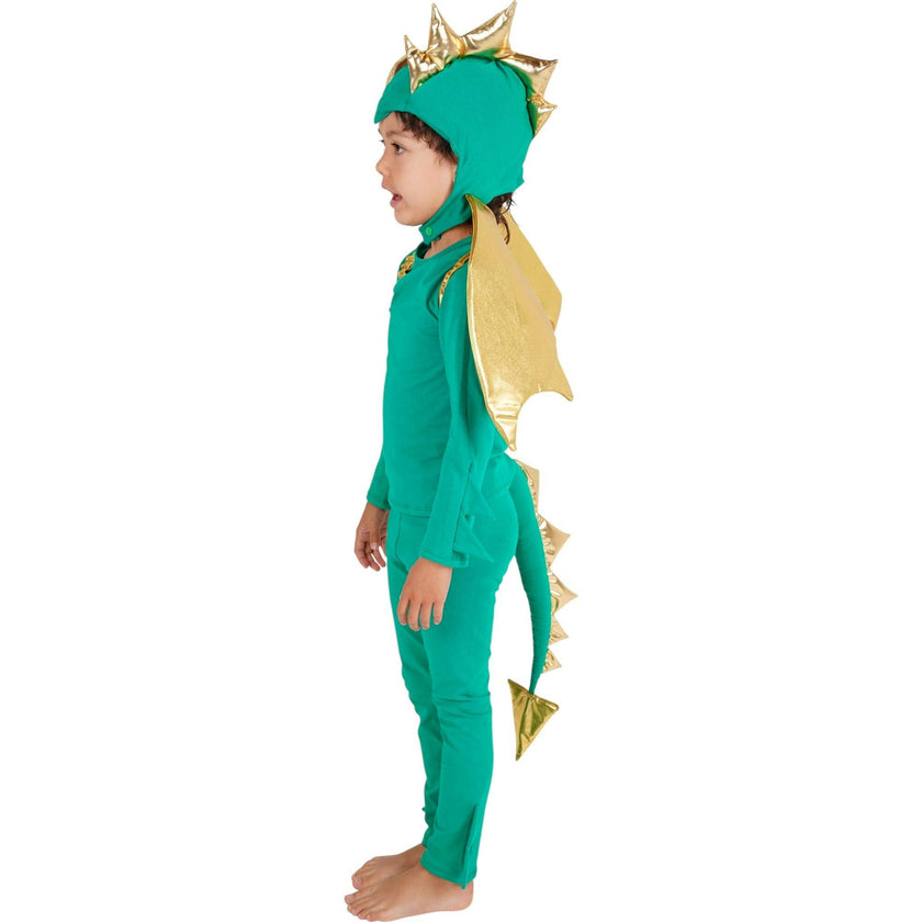 Emerald Sky Dragon Pajama Costume