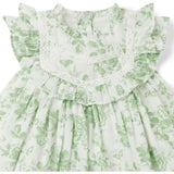Baby Floral Toile Ruffle Dress, Green