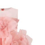Rose Briellea Embellished Sleeveless Dress