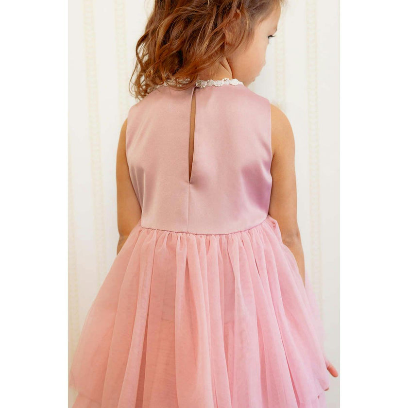 Mini Rainie Dress in Rose