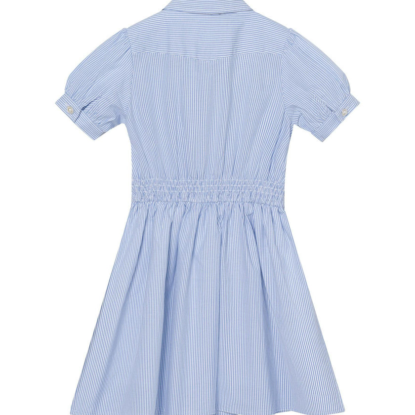 Ariel (light blue stripe)