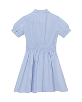 Ariel (light blue stripe)