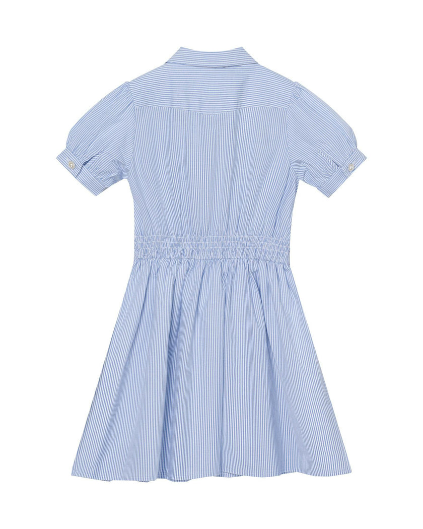 Ariel (light blue stripe)
