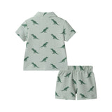 Infant Boys Short Sleeve Cabana Set | Green Stripe Dino