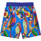 Parrot Swim Trunk