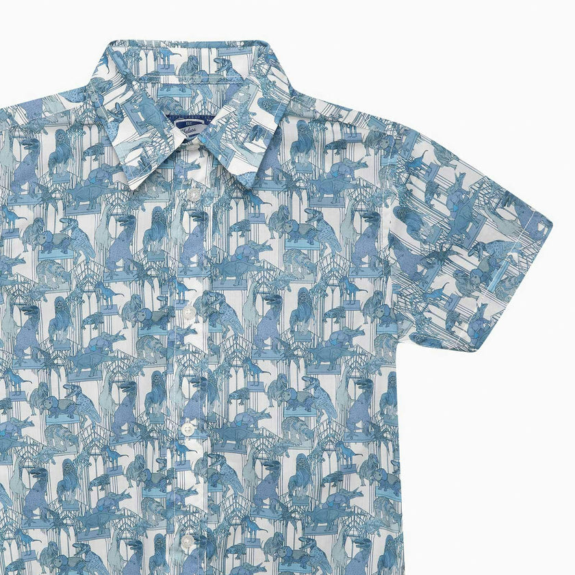 Dinosaur Shirt