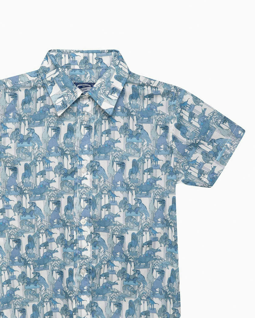 Dinosaur Shirt