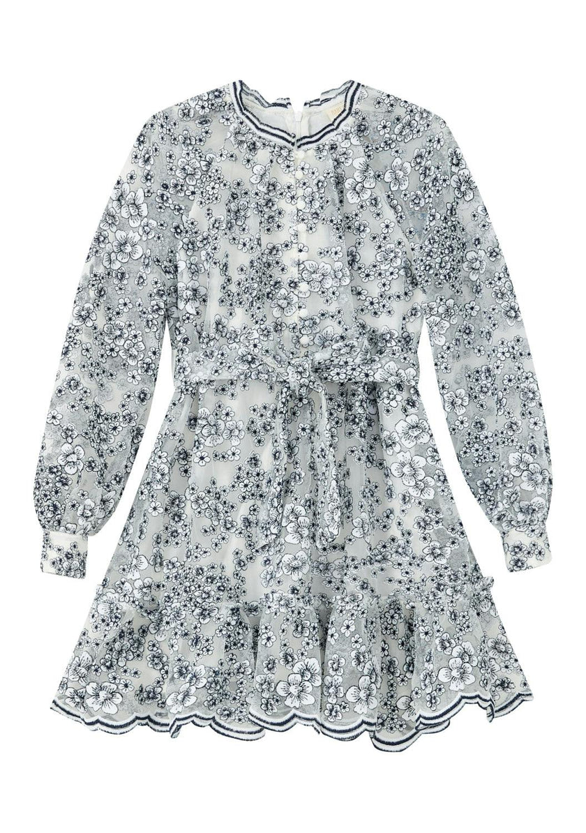 Eliza Embroidered Mini Dress