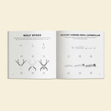 Bugs: How to Draw Books for Kids
