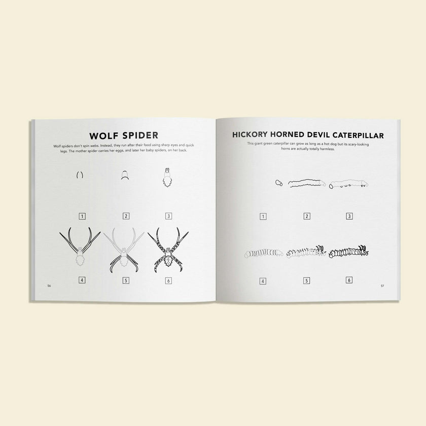 Bugs: How to Draw Books for Kids