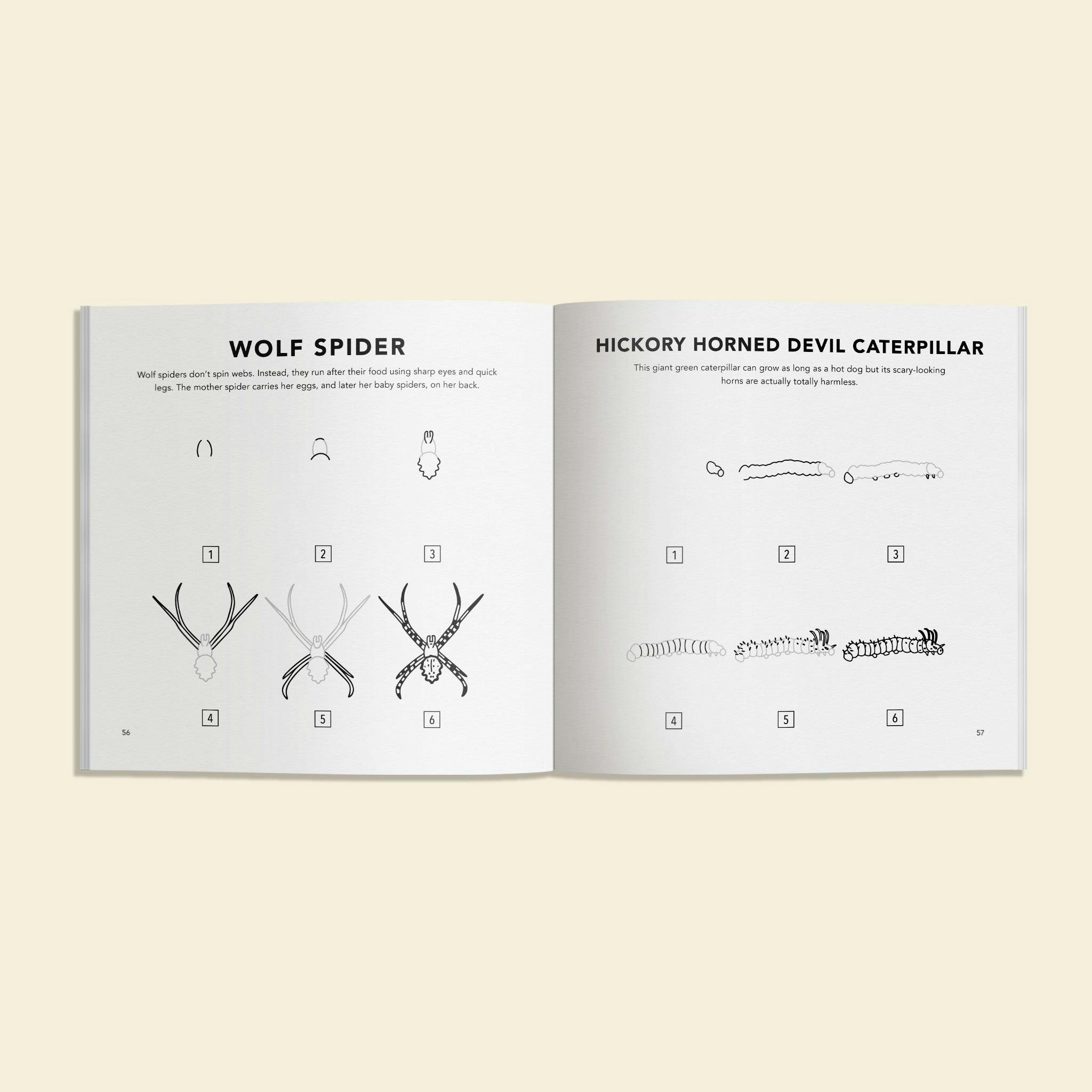 Bugs: How to Draw Books for Kids